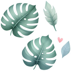 monstera decorative leaves