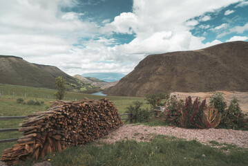 a pile of seasoned firewood serves as both heat and cooking fuel at the rural mountain homestead...