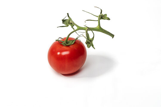 Red tomato with stem still attached against a white background