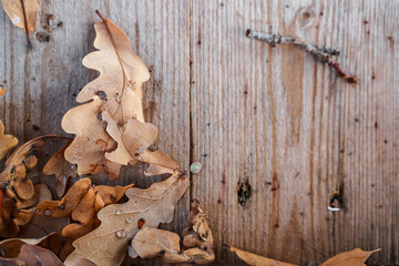 Wooden table background with autumn oak leaves