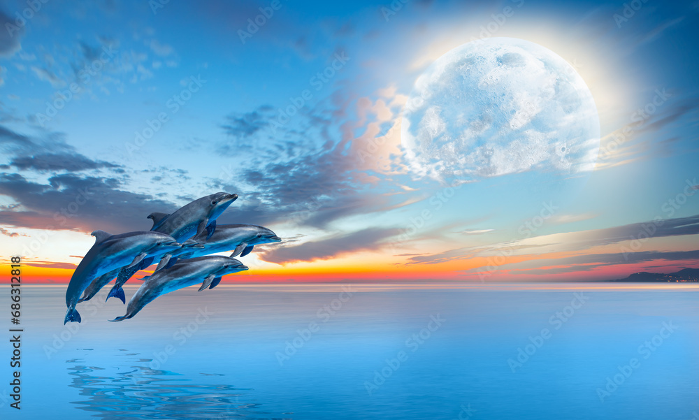 Poster silhoutte of dolphins jumping up from the sea at sunset with full moon 