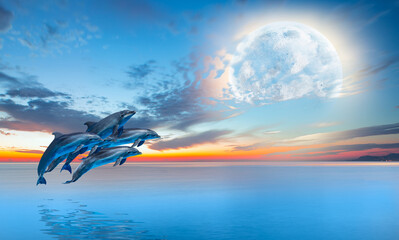 Silhoutte of dolphins jumping up from the sea at sunset with full moon "Elements of this image furnished by NASA "