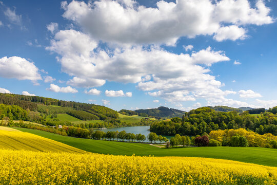 Hennesee bei Meschede im Fr&uuml;hling