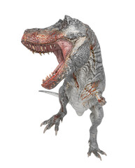 t-rex on blood is angry and looking for food in white background