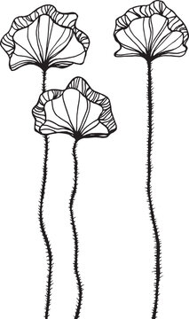 Elegant hand drawn decorative poppies