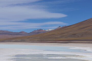Bolivia, Verde Lagoon, Avaroa National Park. A desert area next to a lake with green toxic water.