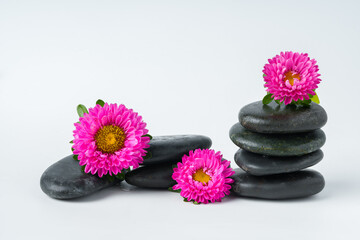 Spa stones and flowers on the white background