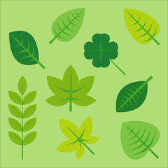 Diseño de hojas de naturaleza ilustración 