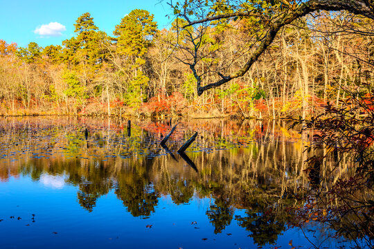 Beautiful colorful Nature Fall Scenery