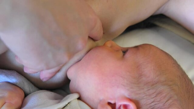 Young mother is breastfeeding her newborn baby. Happy motherhood and lactation - Powered by Adobe