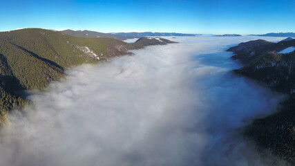 Aerial drone flight above a sea of clouds covering Lotru Valley until horizon. The mist mixes with the spruce forests growing on the mountain sides. A road winds along the river below. Carpathia.