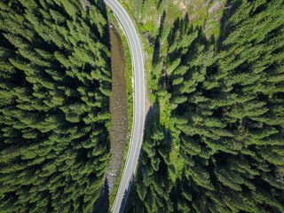 Aerial drone panorama above Sebes river flowing through a coniferous forest along an asphalt road. Carpathia, Romania. - obrazy, fototapety, plakaty