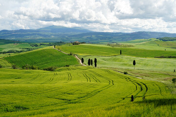 Tuscany Landscape with green hills and country road in Val d Orcia, Italy
