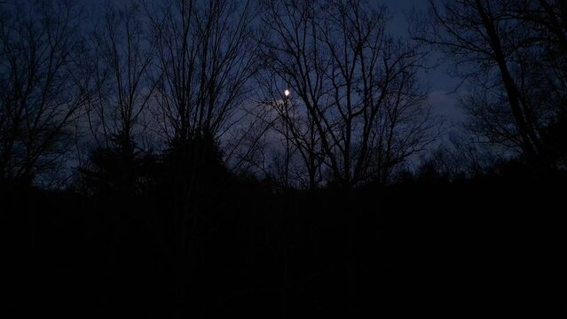 nighttime footage of the moon with clouds passing in front (trees swaying in the wind) dark, moody, winter, sky, night, tree silhouette (rising aerial establishing shot) going up, above trees
