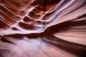 Feather in a slot canyon