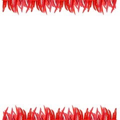 Red Chili Square border with white background, chilies, Capsicum