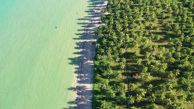 Praia do Patacho na Rota dos Milagres em Alagoas Visto de Cima com D\rone 4k - Nordeste - Brasil - 