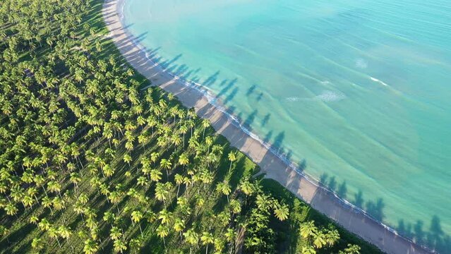 Praia do Patacho na Rota dos Milagres em Alagoas Visto de Cima com D\rone 4k - Nordeste - Brasil - 