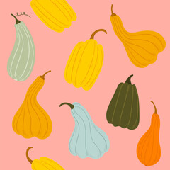 cheerful multi-colored pumpkins on a pink background. cartoon pumpkins in barbie style. cozy illustration