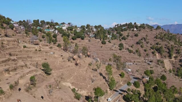 Aerial view of terraced fields in the remote hilly villages of India surrounded by green mountains. Drone view of terrace farming land and terraced houses of Uttarakhand. Indian forest and trees. 4K