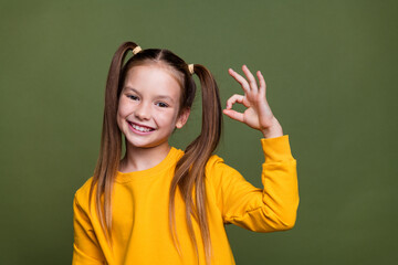 Photo of intelligent optimistic schoolgirl with ponytails wear yellow pullover showing okey approve...