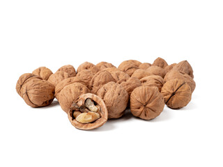 Walnut isolated on white background. Walnut closeup on white.