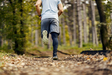 Cropped picture of runner's legs running in nature.