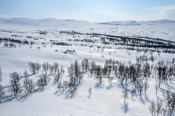 Fototapeta na wymiar Aerial photo of wild rare mountain birch forest with few big rocks between woods. Snowmobile driver stands on one rock. Sunny winter day, much snow. Swedish mountains, Lapland