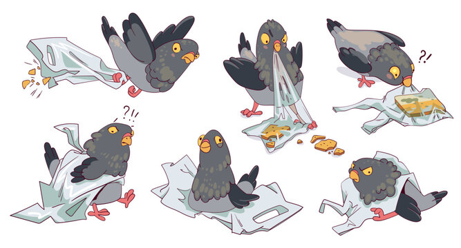 Funny plots with a pigeon and a plastic bag. Animal ecological problem. Collection of silly pigeon in different poses. Colorful cartoon character. Funny vector illustration. Isolated white background
