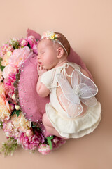 Fototapeta na wymiar Cute newborn baby with butterfly wings. Newborn girl in flowers. Newborn's first photo session