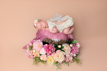 Cute newborn baby with butterfly wings. Newborn girl in flowers. Newborn's first photo session