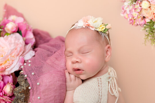 Cute newborn baby. Newborn girl First newborn photo session