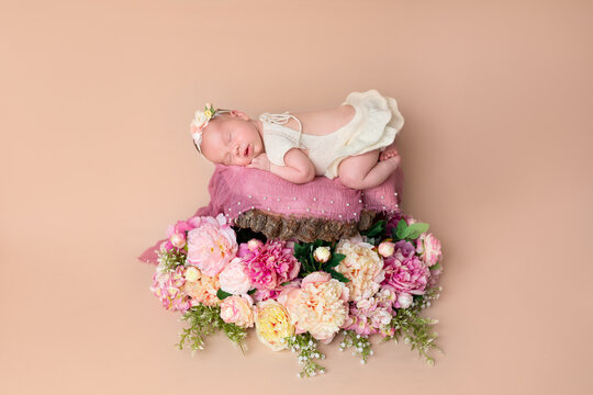 Cute newborn baby in a dress. Newborn girl in flowers. Newborn's first photo session