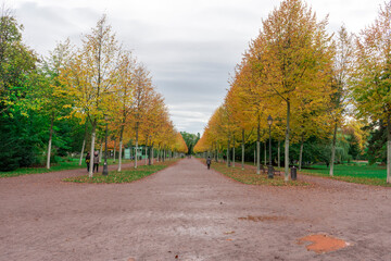 Fototapeta na wymiar le paysage en automne à Strasbourg parc Orangerie