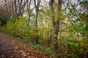 Les arbres d'automne colorés font la beauté du parc
