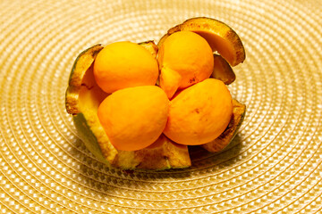 Ripe Pequi fruit (Caryocar brasiliense), wild fruits typical of the Brazilian cerrado biome.