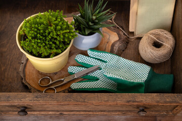 Wooden box with garden and balcony plants, green twine, gloves and string for tying, Gardening and...