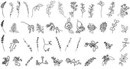Floral vector ink line set with leaves, brunches, flowers 