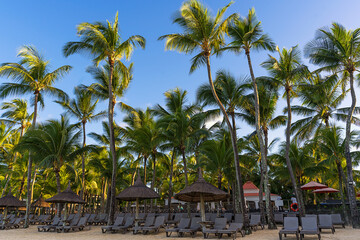 Mauritius- Liegen mit Sonnenschirmen am Strand