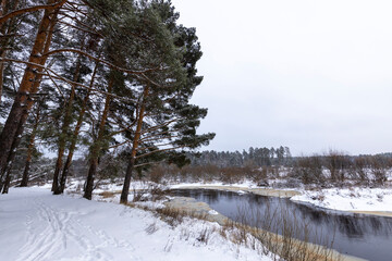Winter landscape, first snow, river with snow-covered banks, pine trees in the foreground in perspective