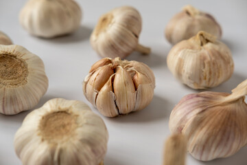 A large head of garlic on a white background