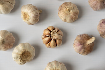 Fototapeta premium A large head of garlic on a white background