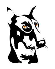 Doberman, black and white stencil portrait