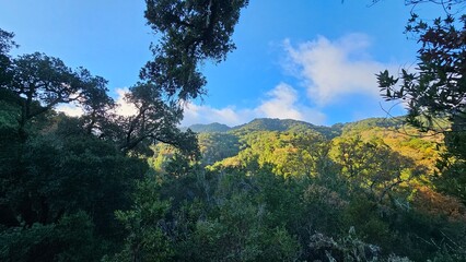 autumn in the mountains