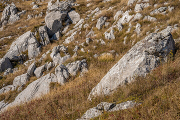 The sharp slope of a hill on Rtanj mountain with rocks peaking from 
dry grass 