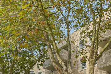 London, UK, 8 October 2023:  New homes development in Plashet Road, Newham, London