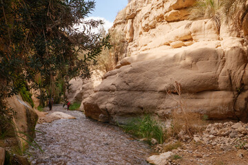 Wadi Bin Hammad eine steile Schlucht mit flachem warmen Wasser und üppiger Vegetation liegt etwas...