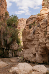 Wadi Bin Hammad eine steile Schlucht mit flachem warmen Wasser und üppiger Vegetation liegt etwas nördlich von Kerak und gut 2 Fahrstunden enfernt von Amman, Jordanien.