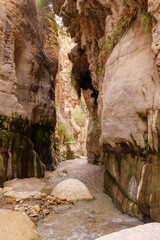 Wadi Bin Hammad eine steile Schlucht mit flachem warmen Wasser und üppiger Vegetation liegt etwas...