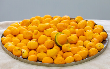 Ripe Pequi fruit (Caryocar brasiliense), wild fruits typical of the Brazilian cerrado biome.